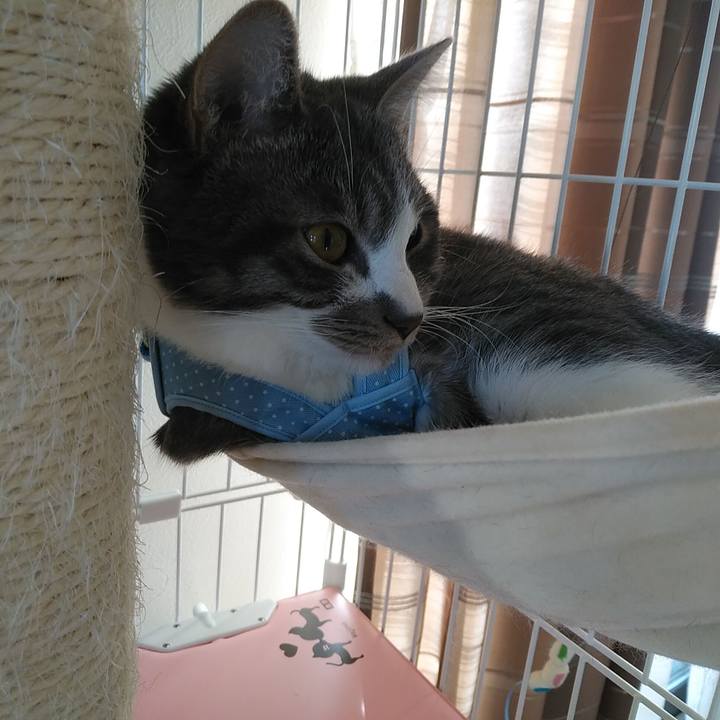 175700b5 d0ca 4290 84fd 05a0ac09782f 1577439916949