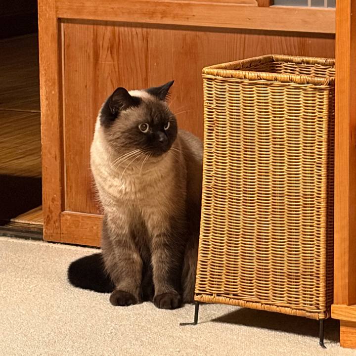 17570f9b c865 4846 a446 03c8abd92efb 1764590331092