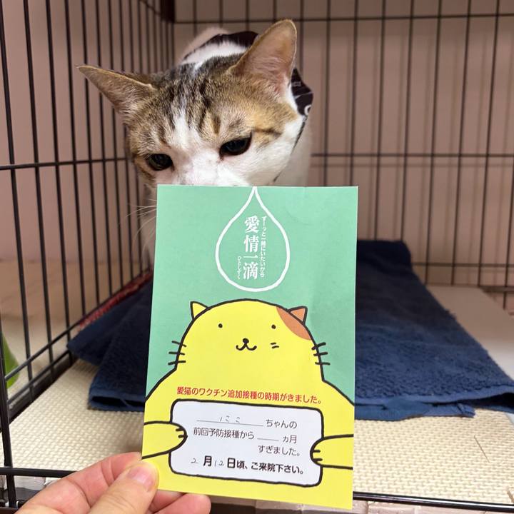 17574aaf d419 4a2f 80e7 fdceff8d5e16 1770324394451