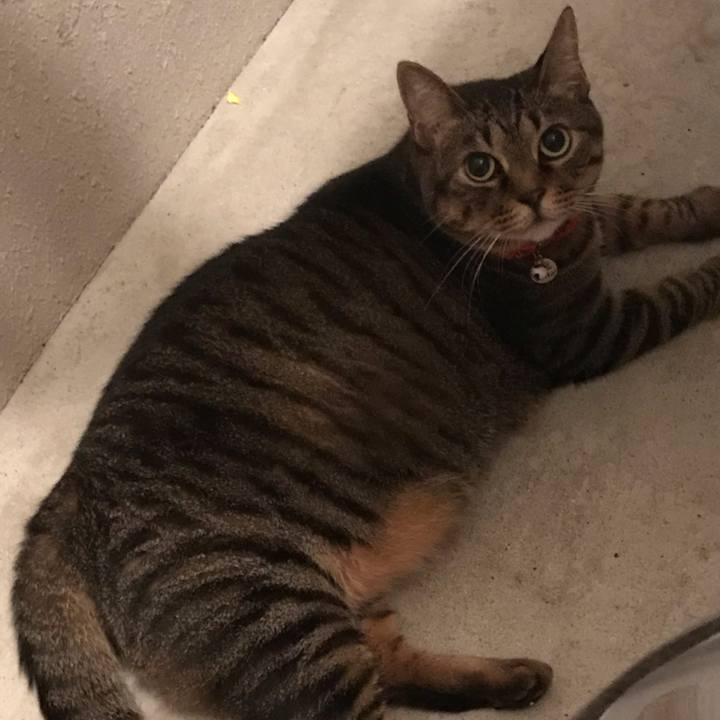 175752b8 9089 4e7d 97aa 433e8e15404b 1564493694245