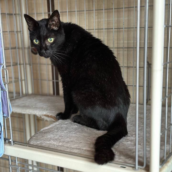 17579fb7 59b4 406d a997 885d51617d08 1695598788380