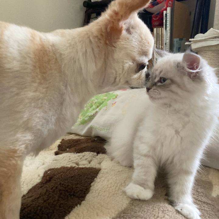 1757a1cf 1e83 49b8 8945 997396ba237c 1667105259433