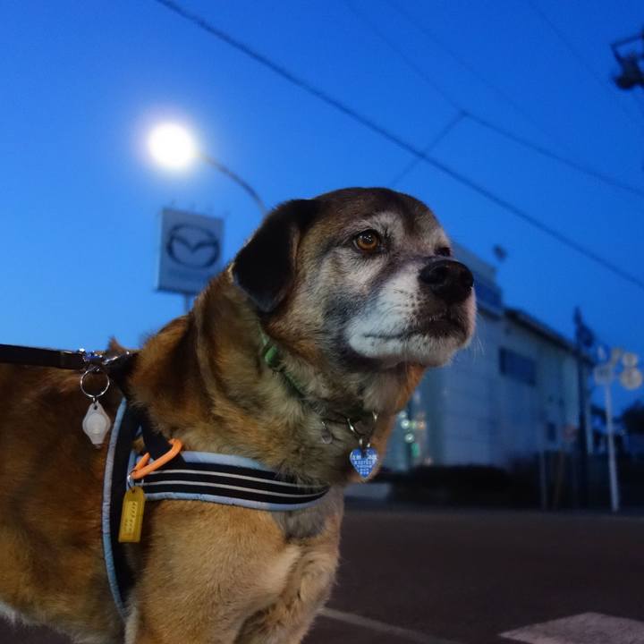 1757b778 292e 417b 8d67 880ac60a7a7d 1554288367567