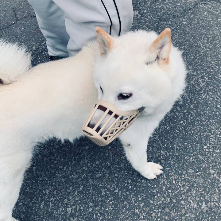 1757cd49 5f0c 4ece a3bd 9a86701979b3 1591648868449