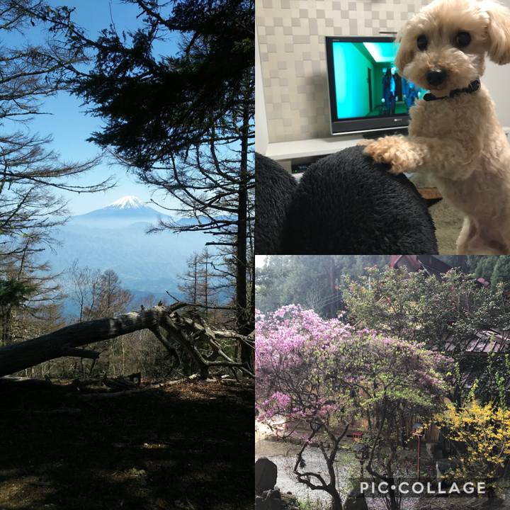 17580a40 fbfc 4a02 b3d7 e14e49a7005a 1524314688173