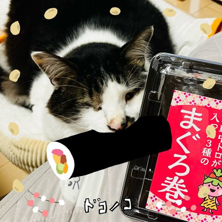 17582f18 d1a9 4eeb 9b42 877777b61fa9 1741140066596