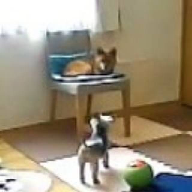 1758b69f 5e51 4710 bca3 fb907b67c569 1521497468548