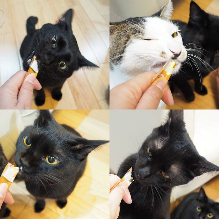 1758befc a05a 4aeb 81c9 fe1928976e56 1541602151080