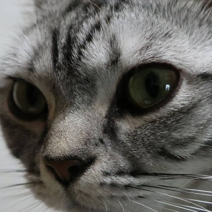 1758c246 98c9 4c9d a875 a6bec0ad3d0c 1585372514142