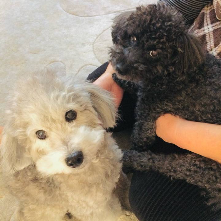 1758e454 5af1 41a8 9939 6d5f3026dba5 1767617385493