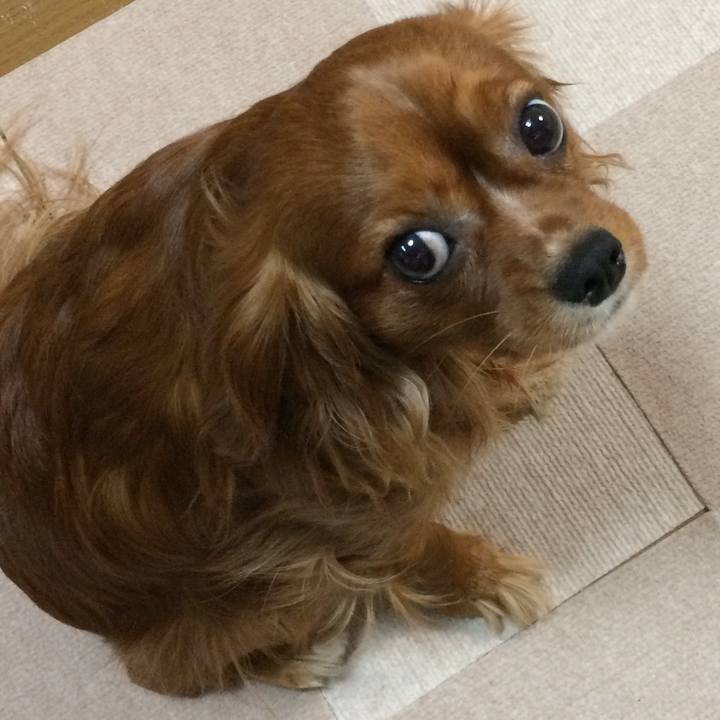 1758f60b f816 4419 bdd4 c44fd1f8d10e 1519303509429