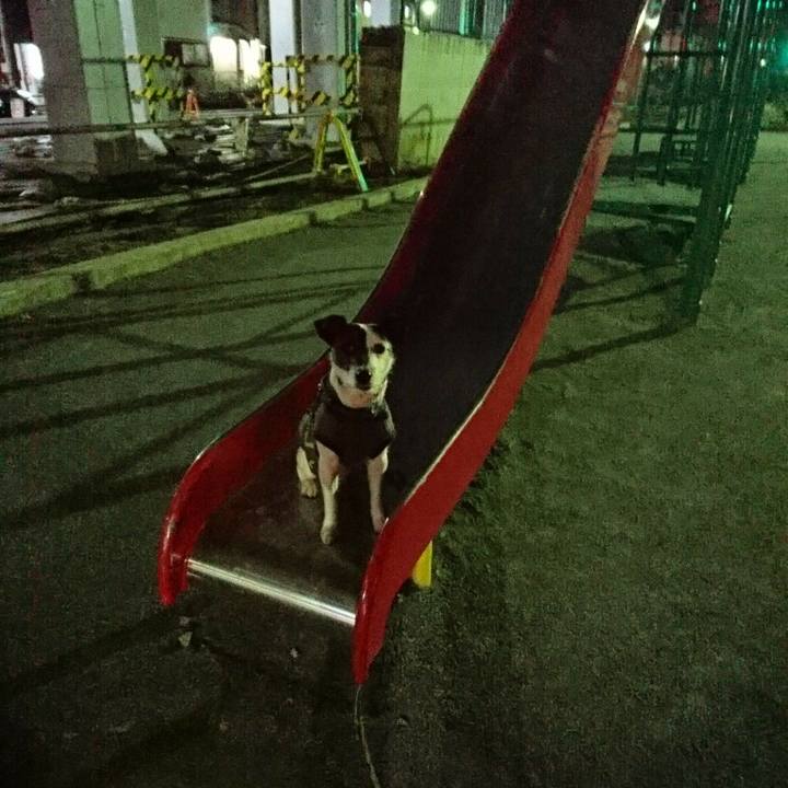 175918ba 3ec7 4eef aa5c 5978220fc86f 1520335755588