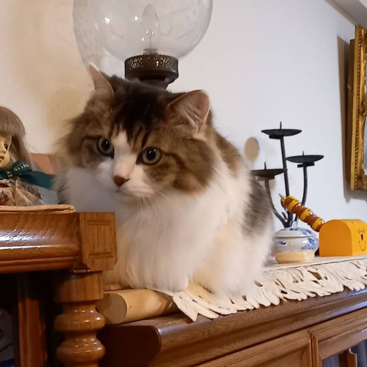 1759390f 61d2 4ae2 add7 29b6a74344aa 1605508743107