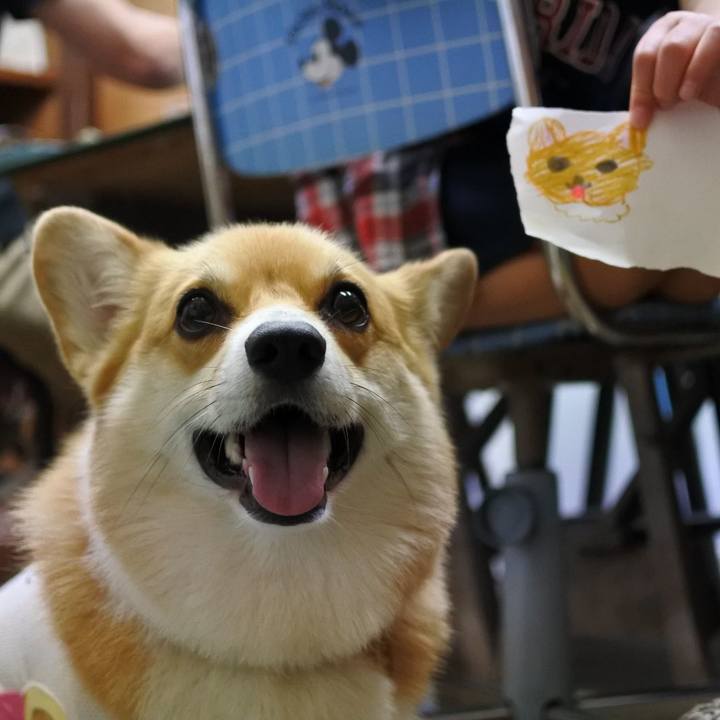 17595f85 3205 4362 a2e2 350167faf1cd 1565948468062