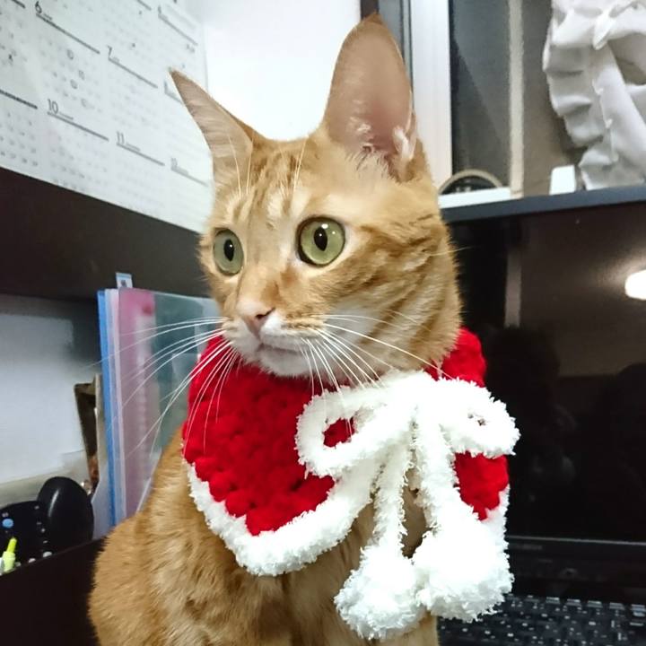 175964a0 09f2 46da ae3f 0b7f14cd2574 1542367353116