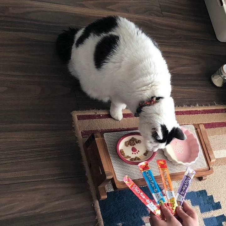 17597d09 7909 4eb1 ba9d f770c57eef66 1739341295354