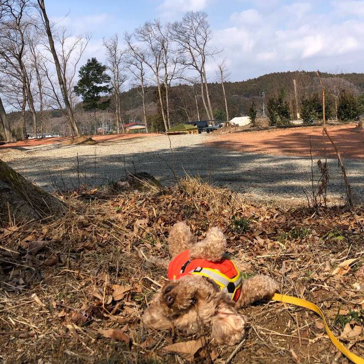 17599015 4768 4cbc 94d0 cb795b631714 1775918322044