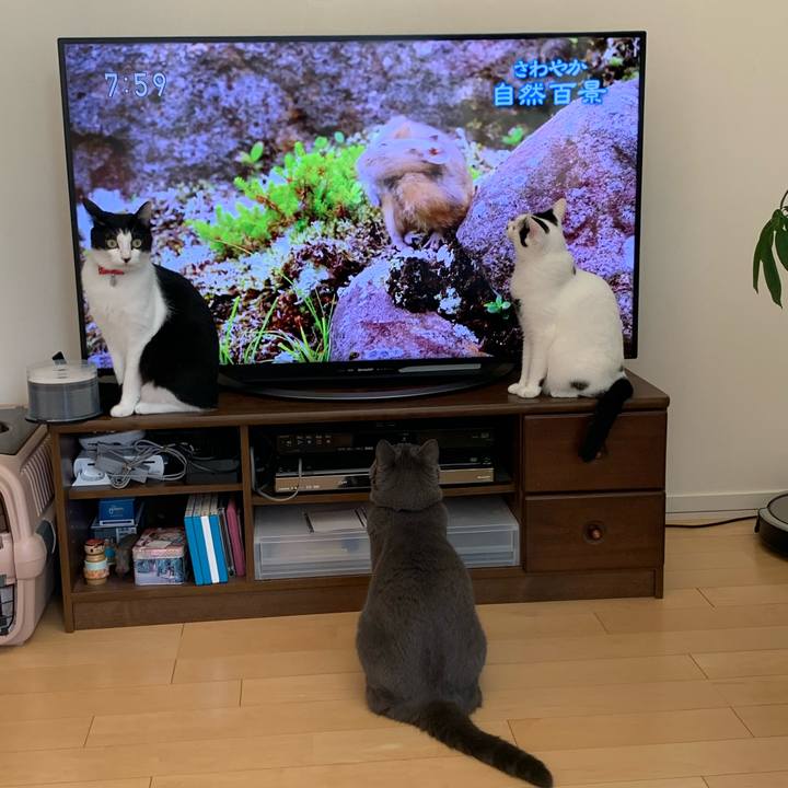 1759cd0d c409 4efc b7e4 6644ede69daf 1600557755012