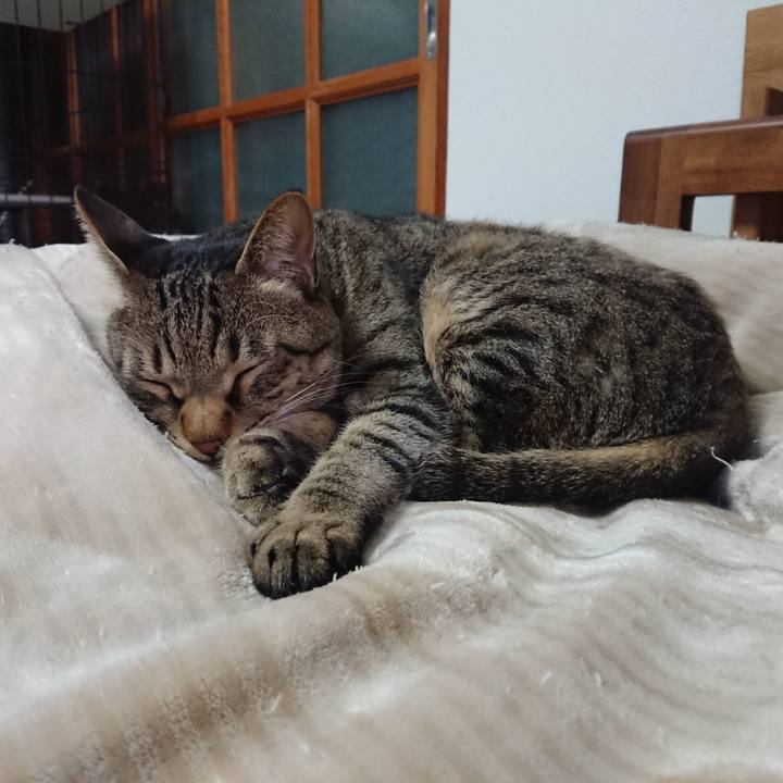 175a1995 759f 4967 baff b5c83196b7da 1578231942651