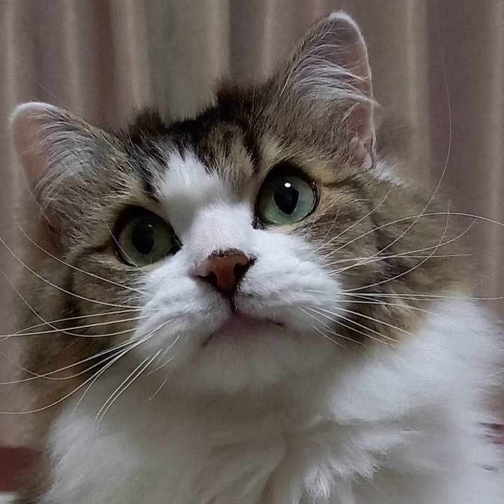 175a1f4e d17b 409a aaef 4b3144a40db0 1642800692148