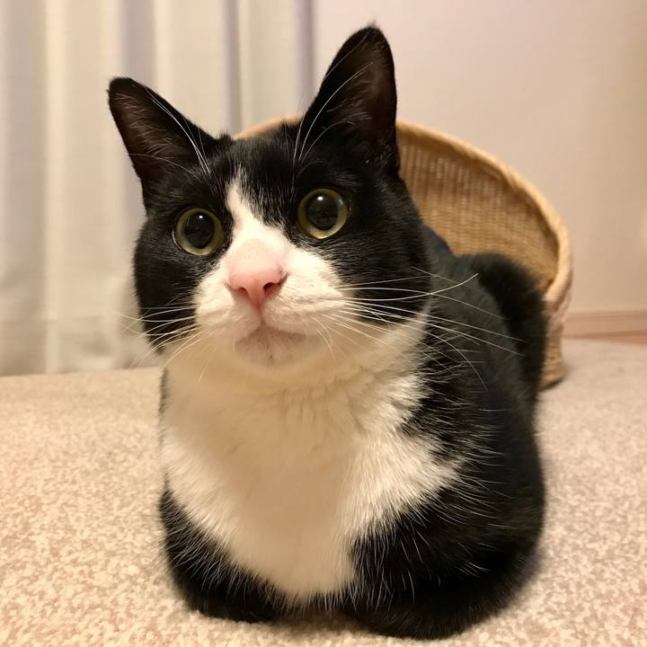 175a831a 5c5d 4150 a1a2 2f7a5eefbb75 1522327934317