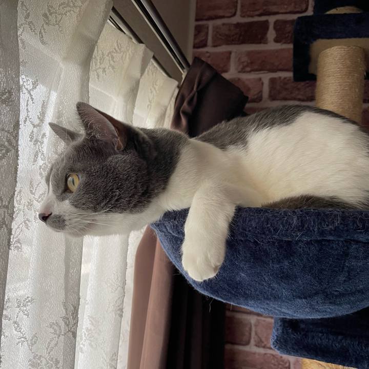 175a8c3c 7716 4a04 8027 1c649e861e28 1661811548725