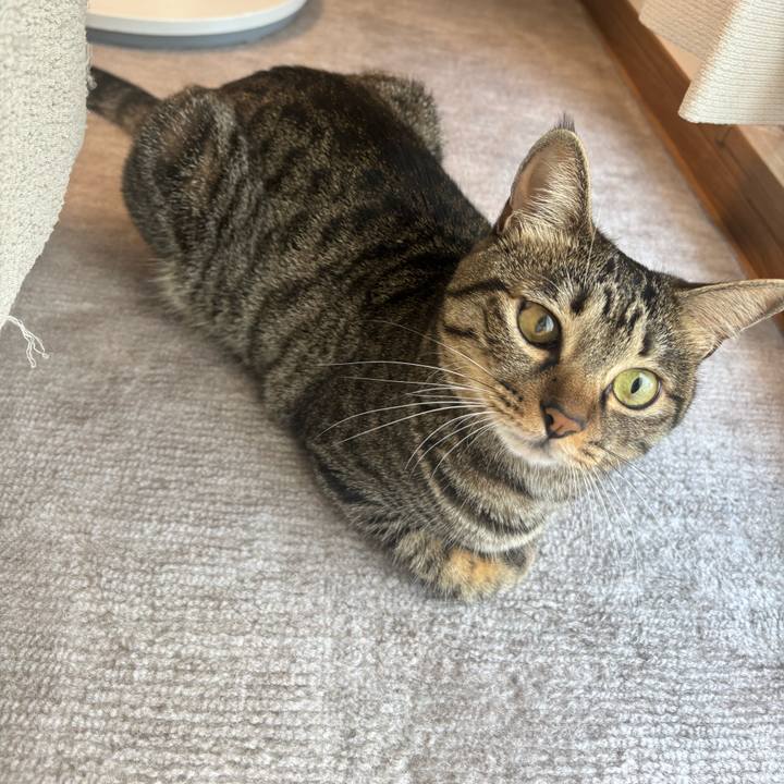 175a990a b1f4 4082 bd88 5eab2ba900bd 1757034104159