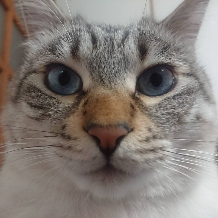 175aa70b 7873 4656 bf0c 4fc4d9de892c 1551100266414