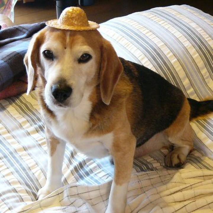 175ab869 3012 4f57 83bd d8fcaa8293c9 1714473898245