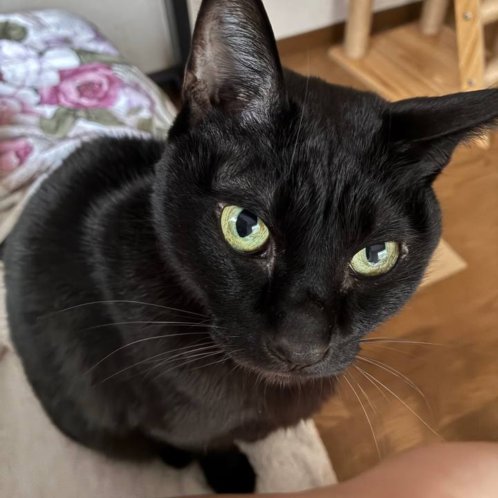 175ad292 a6b4 42ea b7fe 694029332673 1772262058309