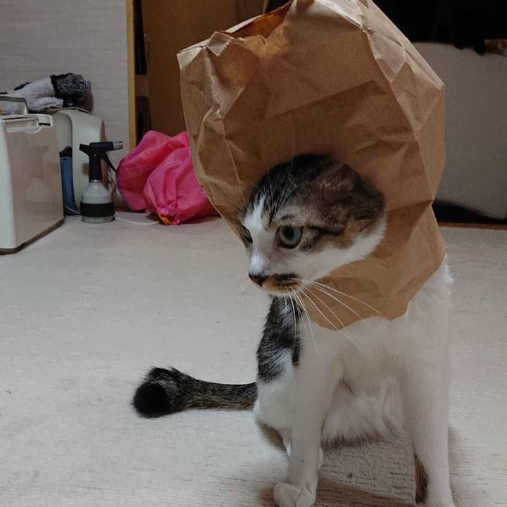 175ae13e 7cfc 49e6 b98d 881569f78b79 1606227078636