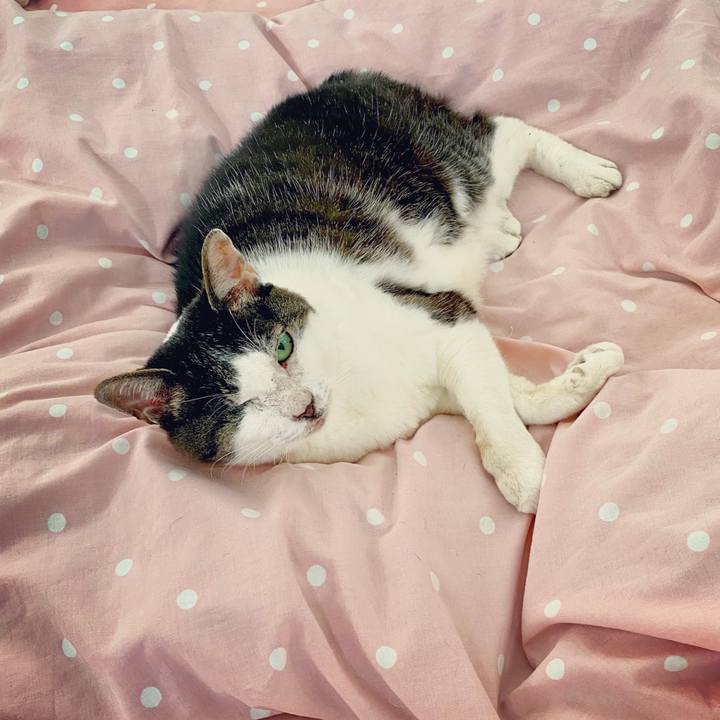 175b0682 ee05 4fc0 9e2c c5c27f414dad 1593920876208