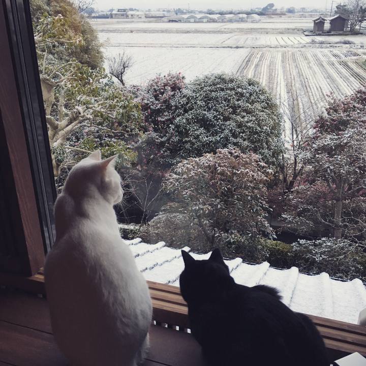 175b1049 ee52 4290 bcc5 29ae0e8c973d 1515623735655