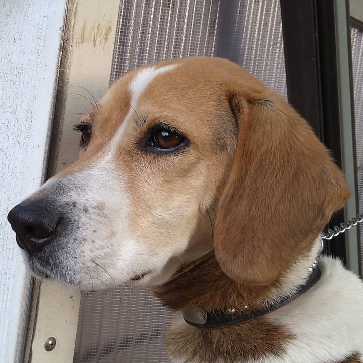 175b1565 e496 4ec1 929b 77c2fcabe21e 1647520731892