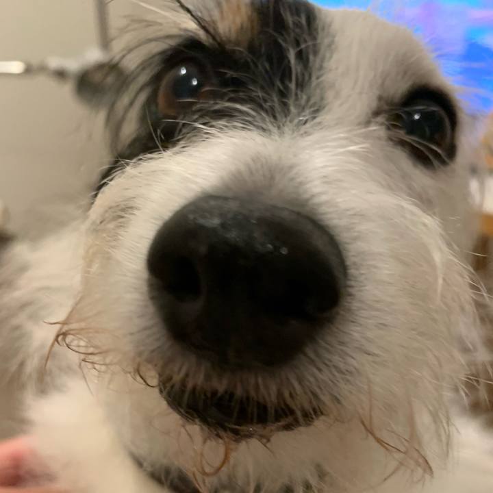 175b2f81 e4f7 4dab a67d daf0d5d0e0a0 1727874904125