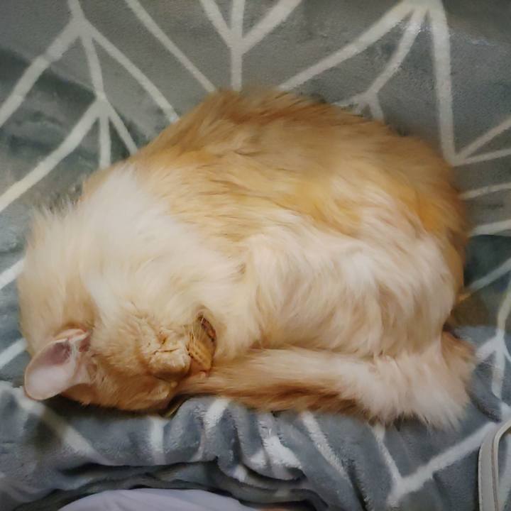 175b3179 e72c 45b2 ac90 b38f50457d49 1708857969258