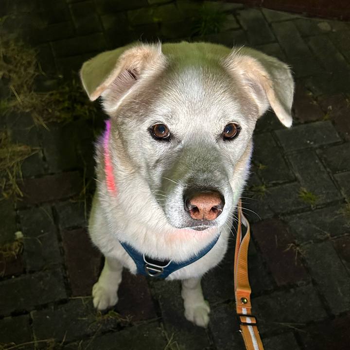 175b5ca5 832b 4ef7 96e6 52252f781cda 1731157111188