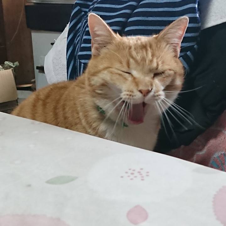 175b8221 2cf8 49d9 a131 2ffc833d2ec4 1585465380878