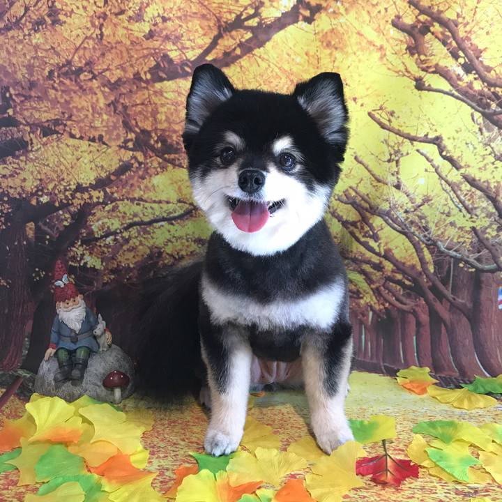 175beb32 e9c1 456c 839e d5e05b70c230 1606009804754