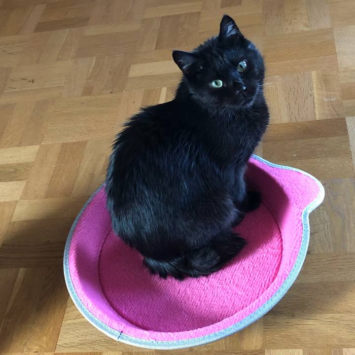 175bf03d 431c 4894 bca8 33ce25643671 1568528162075