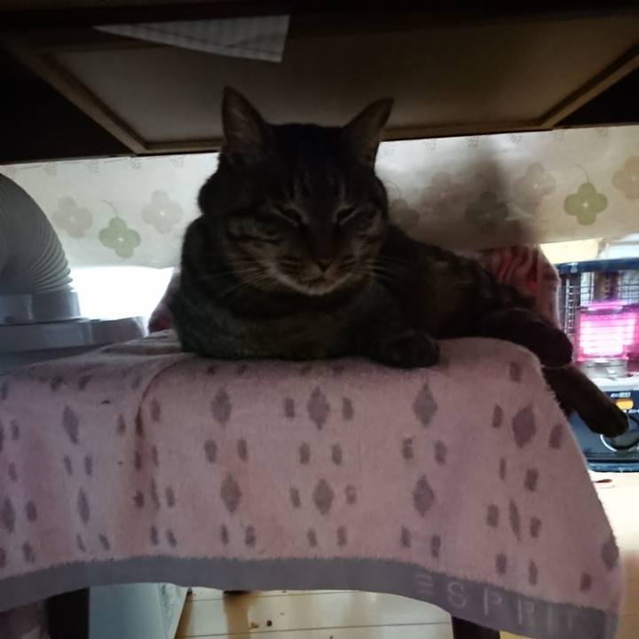 175c1f44 297d 4489 a331 5173a6268a74 1640555627682