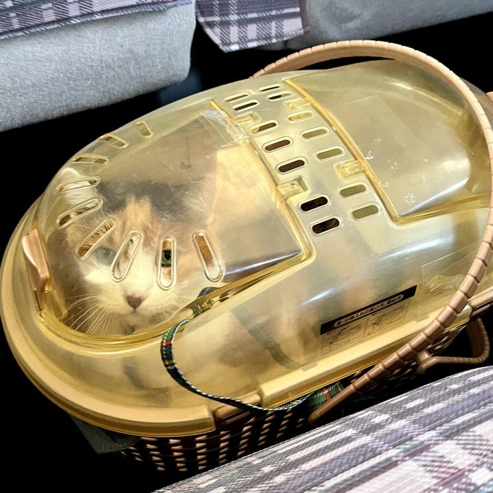 175c21dc f1db 4ddc a5f5 7e40230a1d36 1670806069506