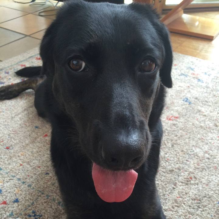 175c3506 6a8c 4ad8 a319 a58315fcb8aa 1537748077538