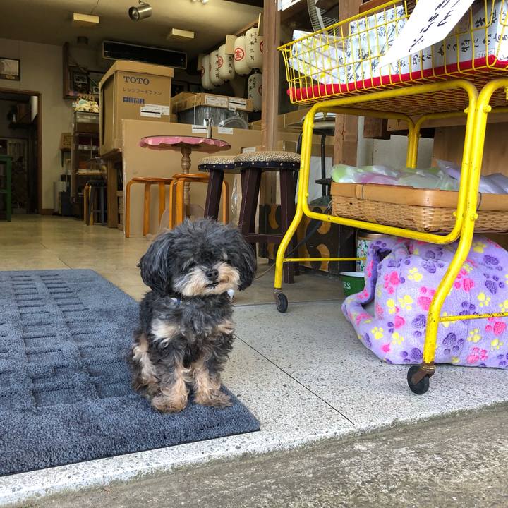 175c3b3c 337d 4322 8fc5 55ed5a212347 1570280560642