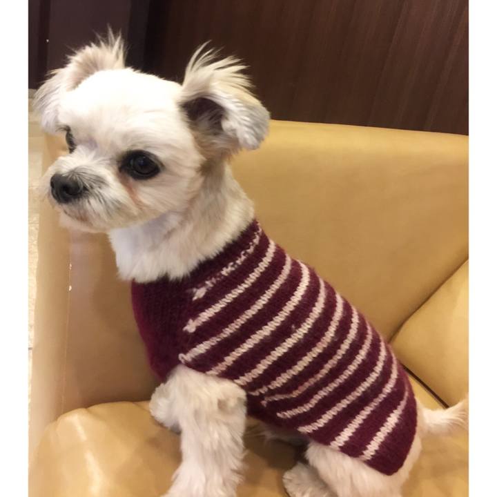 175c543b e27c 4247 b756 19fe84ecf527 1545390426376