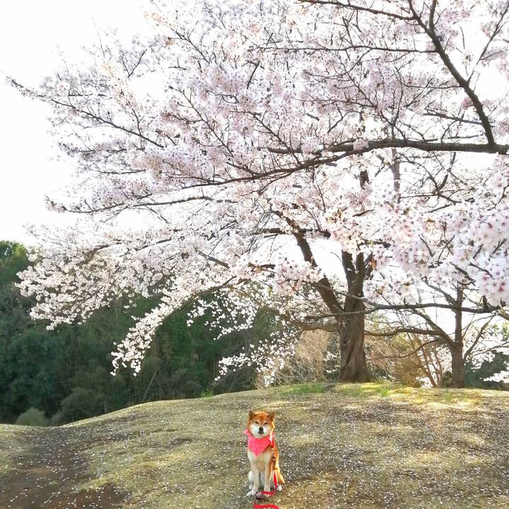 175c8aef 4ca9 4a93 970c 42dfb671dbd8 1648801122939