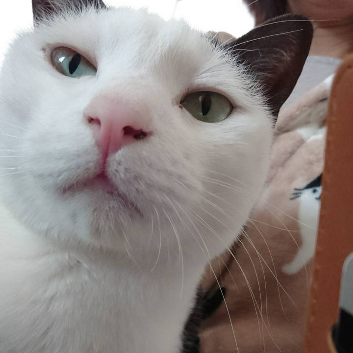 175c8e48 cdb6 4dfc 9766 cf4df83f3237 1516343693925