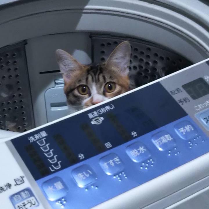 175cccf7 d0fb 4294 a614 25075b816151 1637705480733