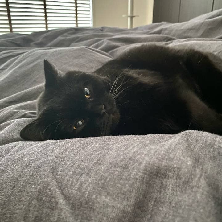 175d1034 7041 4165 89f8 9d4809474728 1673131935241