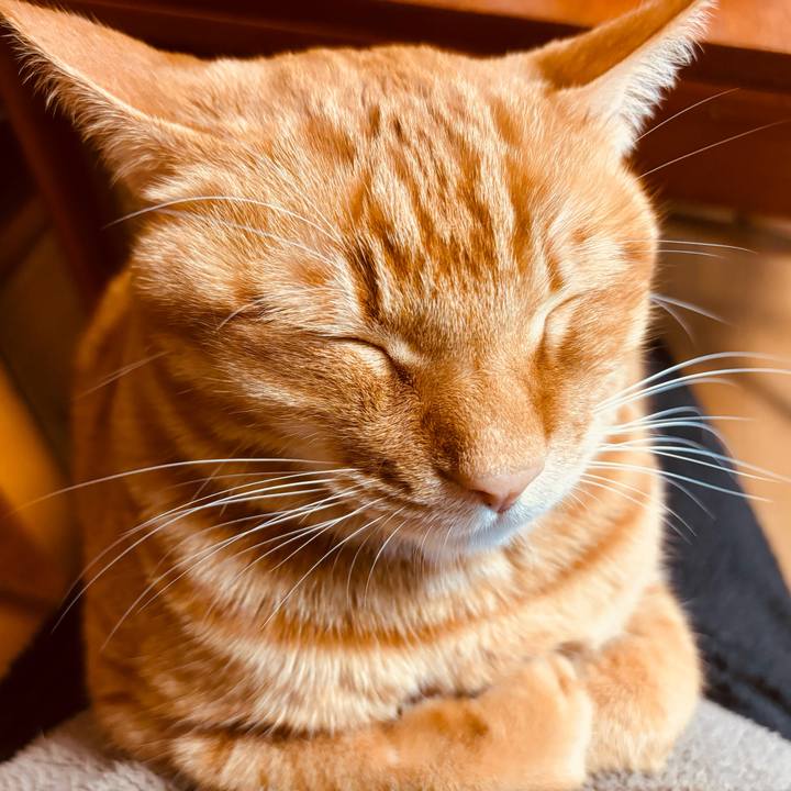 175d37a1 c213 4c5e 8355 71fba61dfc21 1768126080201